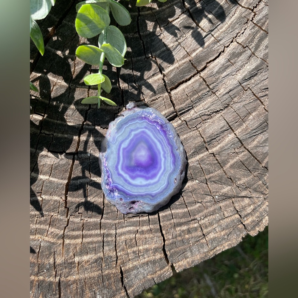 🪻Purple Agate Slice